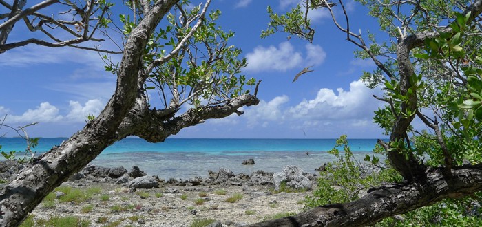 The Tikehau reef on ocean side 