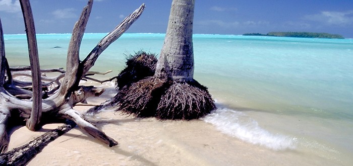 The famous pink sand beaches of tikehau