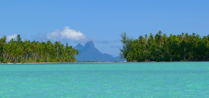 Entering the Coral Garden