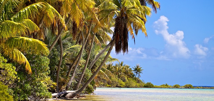 The reef on ocean side 
