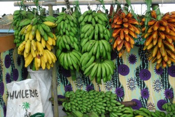 Agricultural Fair